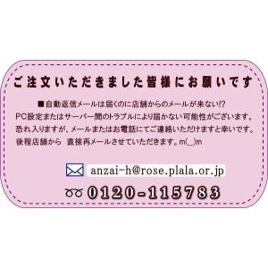 米 つきあかり 10kg(5kg×2袋) 福島...の詳細画像2