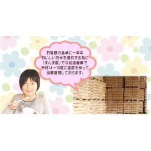 米 つきあかり 10kg(5kg×2袋) 福島...の詳細画像4