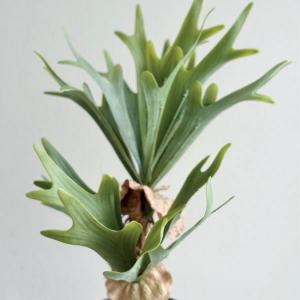 人工観葉植物 フェイクグリーン リアル 造花 ...の詳細画像1