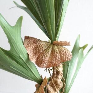 人工観葉植物 フェイクグリーン リアル 造花 ...の詳細画像4