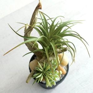 人工観葉植物 フェイクグリーン アレンジメント...の詳細画像1