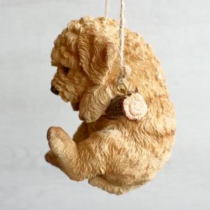 トイプードル かわいい ぶら下がり 壁掛け お...の詳細画像5