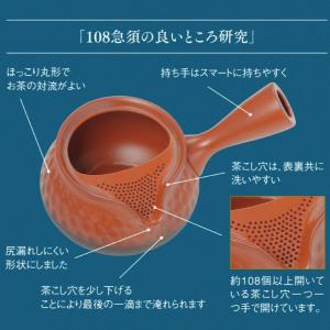 急須 おしゃれ 常滑焼 お茶が美味しくなる テ...の詳細画像2