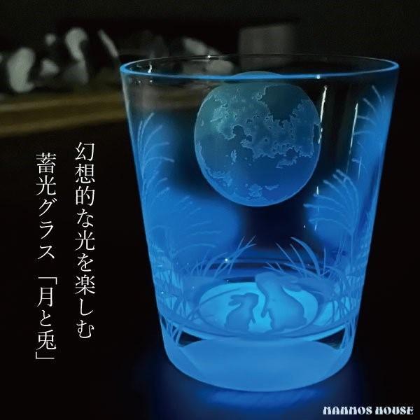 幻想的な光を楽しむグラス 高級 ロックグラス 蓄光グラス おしゃれ 日本製 デザイングラス 職人の技...