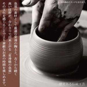 急須 おしゃれ 日本製 お茶が美味しくなる 常...の詳細画像2