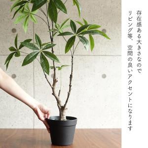 人工観葉植物 フェイクグリーン リアル 造花 ...の詳細画像2