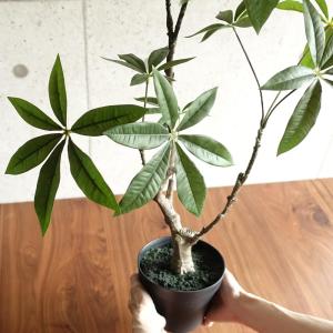 人工観葉植物 フェイクグリーン リアル 造花 ...の詳細画像3