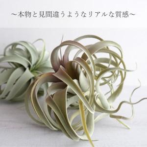 人工観葉植物 キセログラフィカ 造花 フェイク...の詳細画像1
