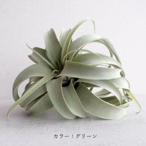 人工観葉植物 キセログラフィカ 造花 フェイク...の詳細画像5