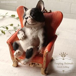 犬 フレンチブルドッグ 居眠り 椅子 かわいい ...の商品画像