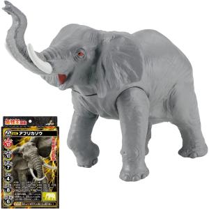 BANDAI（バンダイ） 逆転バリバリバース バリバインダー 第1巻 ORDER