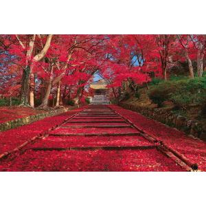 ジグソーパズル 秋色の紅葉参道 (京都) 1000ピース (やのまん 10-1400)｜mannenya