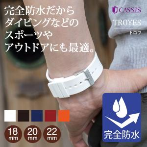 エプソン スマートキャンバス腕時計ベルト 替えバンド EPSON