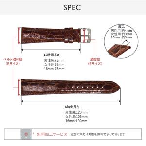 腕時計ベルト バンド カイマン ワニ革 カイマ...の詳細画像2