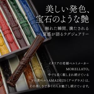 腕時計ベルト バンド カイマン ワニ革 カイマ...の詳細画像4