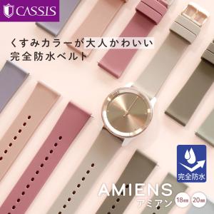 腕時計ベルト ガーミン スマートウォッチ バン...の詳細画像3
