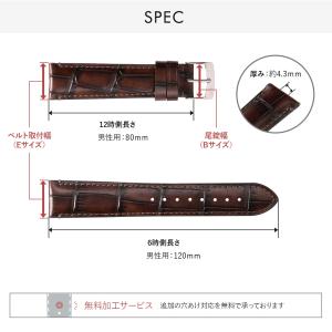 腕時計ベルト バンド カーフレザー 牛革 ビン...の詳細画像2