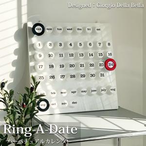 カレンダー 壁掛け 卓上 Ring-A-Date パーペチュアルカレンダー 北欧 モダン ウォールカレンダー 万年カレンダー WP-77WH