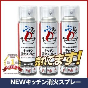 消火スプレー ３本 最新2024/3製造品 家庭用 エアゾール 簡易 消火器 消化器 火消し 厨房 飲食店 キッチン キャンプ 防災 消防｜まのち商店