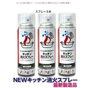 消火スプレー 3本 最新製造品 2025年8月...の詳細画像4