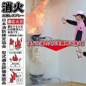 消火スプレー ホルダー付き 最新製造品 202...の詳細画像2