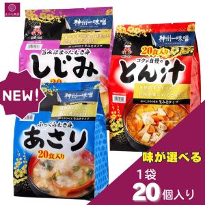 神州一味噌（Shinsyu-ichi Miso） （神州一味噌 コクが自慢のとん汁 20