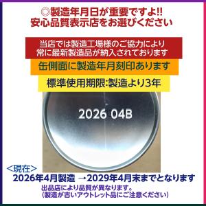 消火スプレー 最新製造品 2026年4月製造 ...の詳細画像1