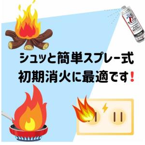 消火スプレー x2 最新製造品 2026年2月...の詳細画像3