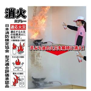 消火スプレー x3 最新製造品 2026年2月...の詳細画像2