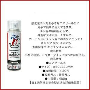 消火スプレー x3 最新製造品 2026年2月...の詳細画像3