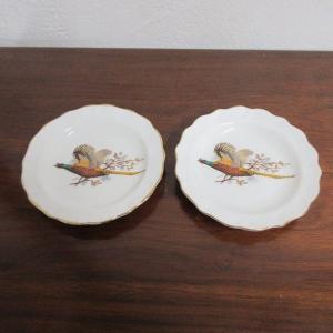 ドイツ製 キッチン雑貨 ババリア BAVARIA ディナープレート ディッシュ