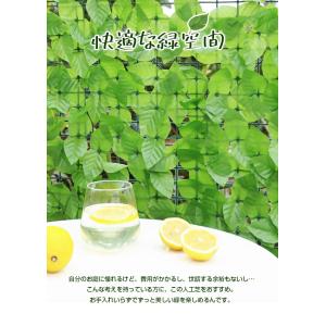 グリーンフェンス 目隠し 日除け 枯れない 腐...の詳細画像3