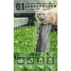 グリーンフェンス 目隠し 日除け 枯れない 腐...の詳細画像5