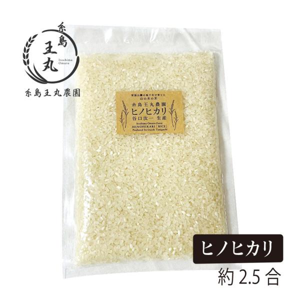 糸島産 ヒノヒカリ 約2.5合 糸島の米 透明で常に流れている綺麗な山の水で育った美味しいお米【糸島...