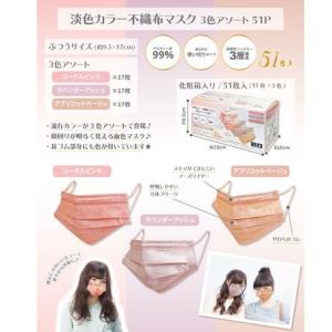 マスク 不織布 プリーツマスク 血色マスク カラー 3色 51枚入