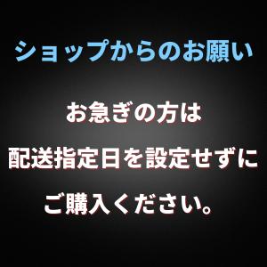 エアドッグ X3D 日本版 Airdog X3...の詳細画像4