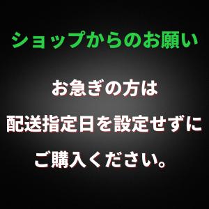エアドッグ X5D 日本版 Airdog X5...の詳細画像4