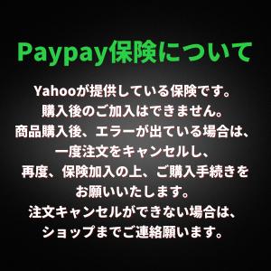 エアドッグ X5D 日本版 Airdog X5...の詳細画像5