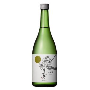 日本酒 地酒 高知 濱川商店（浜川） 美丈夫 麗 吟醸酒 720ml｜manroku-y