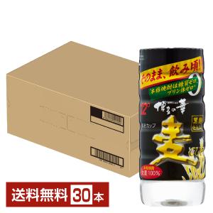 雲海酒造 本格麦焼酎 いいとも 25度 ペットボトル 4L（4000ml）4本 1