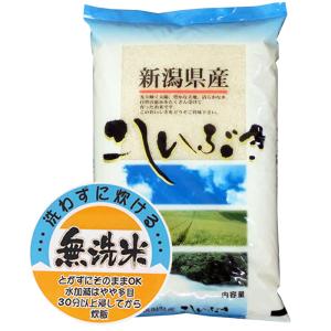 長野県飯山市産 コシヒカリ 新米 10kg コシヒカリ お米 10kg 特別栽培米コシヒカリ 令和6年産 長野県