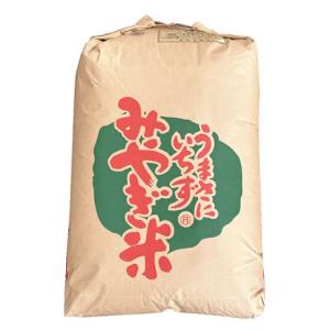 【送料無料】令和７年島根産 1等米 きぬむすめ 30キロ玄米 令和7年産 玄米30kg 島根県産きぬむすめ 送料無料（一部地域を除く