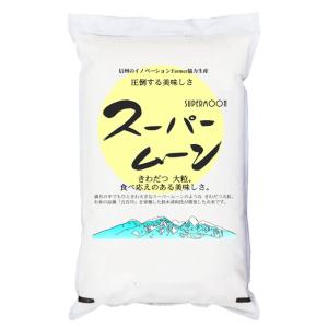 コシヒカリ 梨北米 米10kg 山梨県産 梨北米コシヒカリ JA梨北 「A