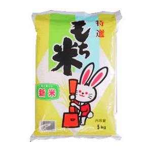 米 5kg ヒメノモチ 山形県産 白米 もち米 平成29年産