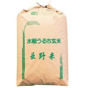 コシヒカリ 武川米 玄米30kg 2等 山梨県武川町産 小澤義章 監修 令和7