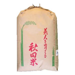 茨城県産　令和7年コシヒカリ　玄米　30kg 茨城県産 令和7年コシヒカリ 玄米 30kg 【公式通販】