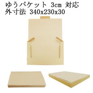 ゆうパケット厚さ3cm対応 クラフトケース 340x230x30　無地紙茶　100枚セット