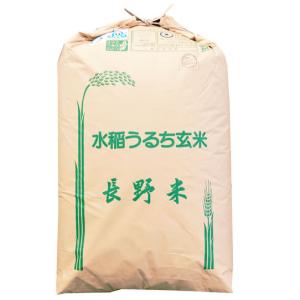 もち米 玄米30kg ヒメノモチ 1等 山形県産 令和7年産 【精米料無料