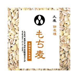 もち麦 500gパック 長期保存包装済み(投函便)の詳細画像1