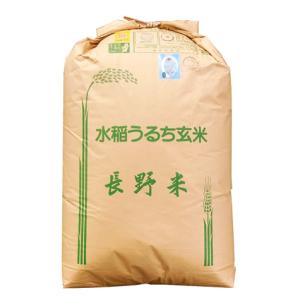 コシヒカリ 八重原 玄米30kg 長野県八重原産 佐久地方最高傑作のお米